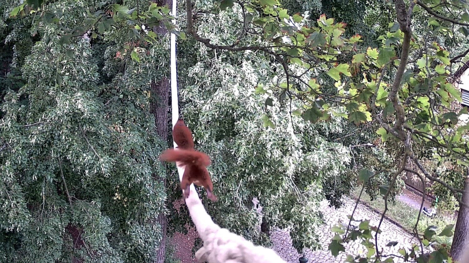 Zu zweit über das Seil. Zu zweit über das Seil.